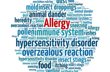 O alergiach prawie wszystko