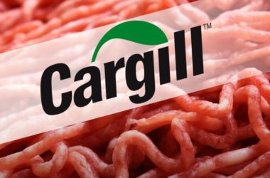 Cargill wycofuje mieloną wołowinę ze sprzedaży   